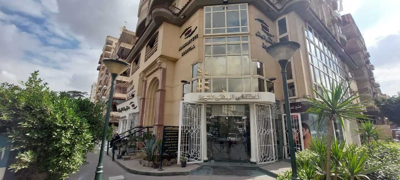 Hegaz Branch